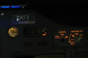 B737RHO MIP