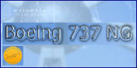 IMG_HOME_RHO737 LOGO Boeing737NG 200x100 B737RHO HOME