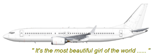 IMG COCKPIT B7378NGMax8