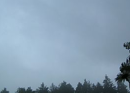 IMG WolkenTypen St